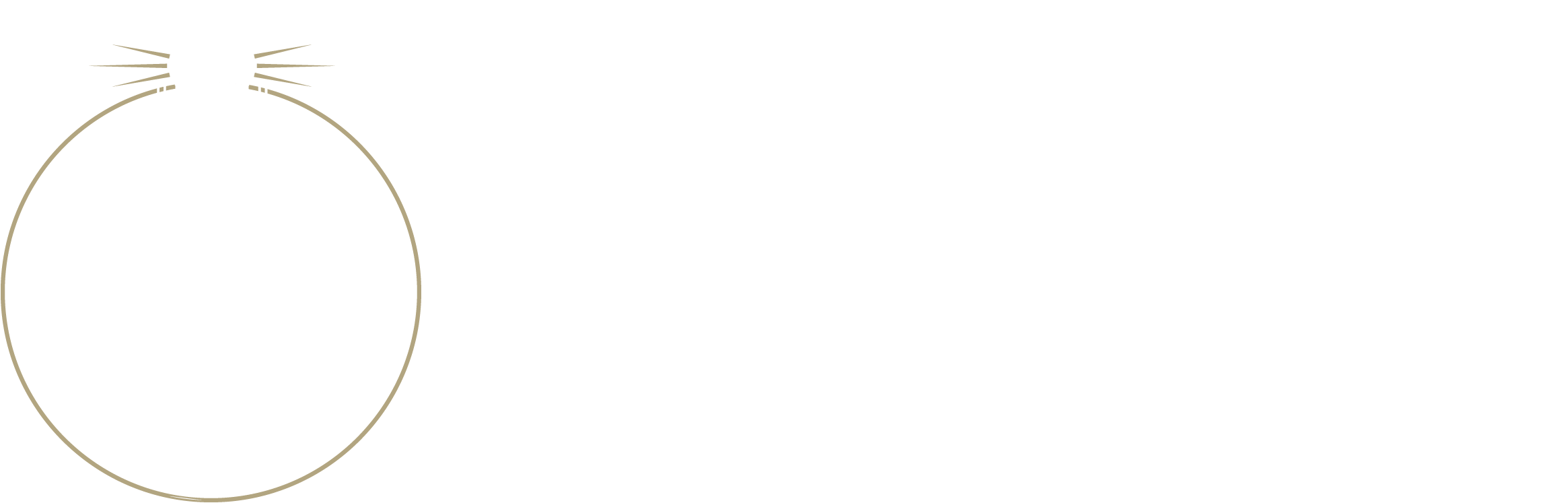 Lifetime Navigator Logo-Gold White