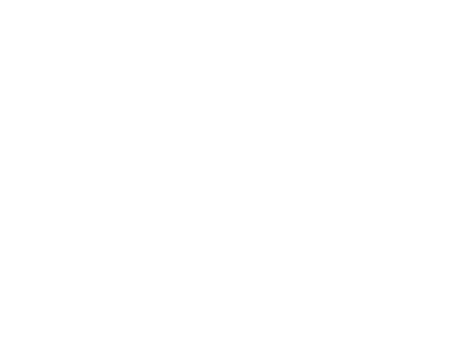Lifetime Navigators white logo